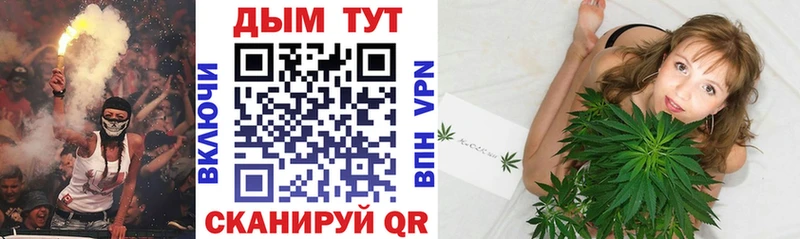 где продают блэк спрут рабочий сайт Шишки марихуана индика Великие Луки